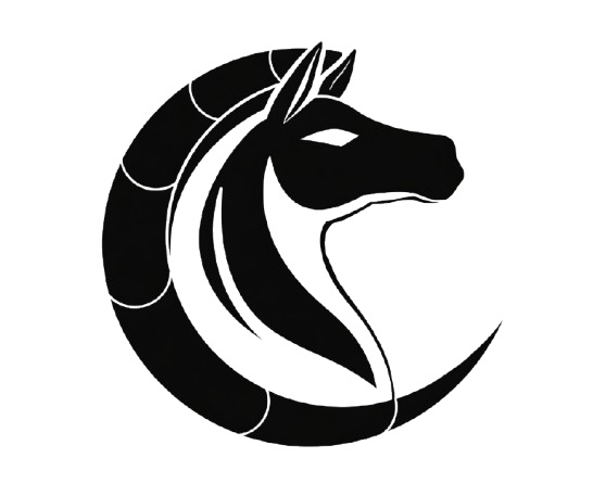 Arion Academy Logo